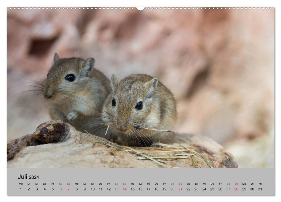 Mouse Gang (Calendrier mural CALVENDO Premium 2024) 