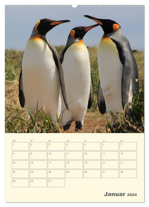 With penguins through the year (CALVENDO Premium Wall Calendar 2024) 