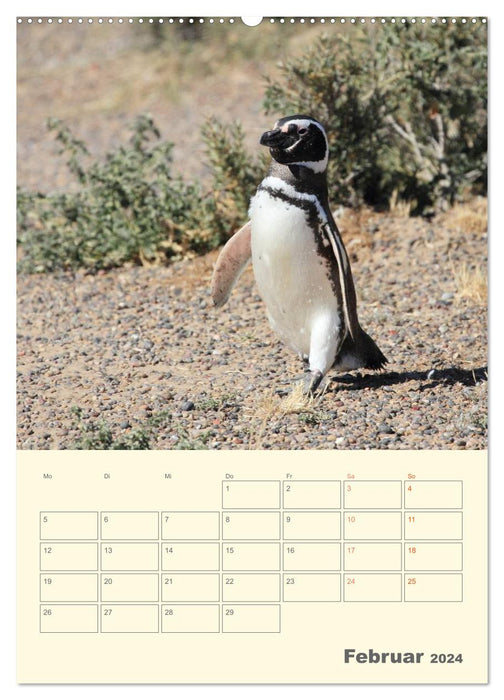 Mit Pinguinen durch das Jahr (CALVENDO Premium Wandkalender 2024)