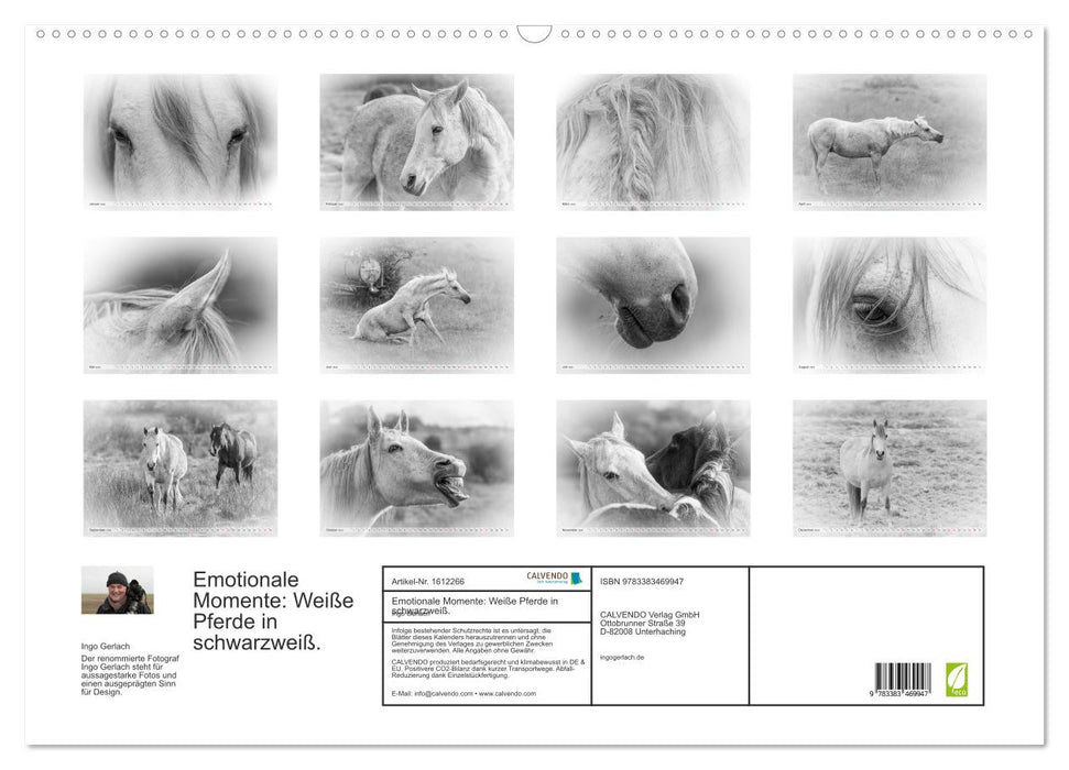 Emotional moments: White horses in black and white. (CALVENDO wall calendar 2024) 