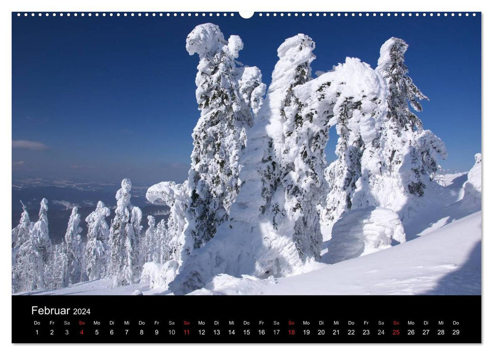 Bavarian Forest - the East of Bavaria (CALVENDO Premium Wall Calendar 2024) 