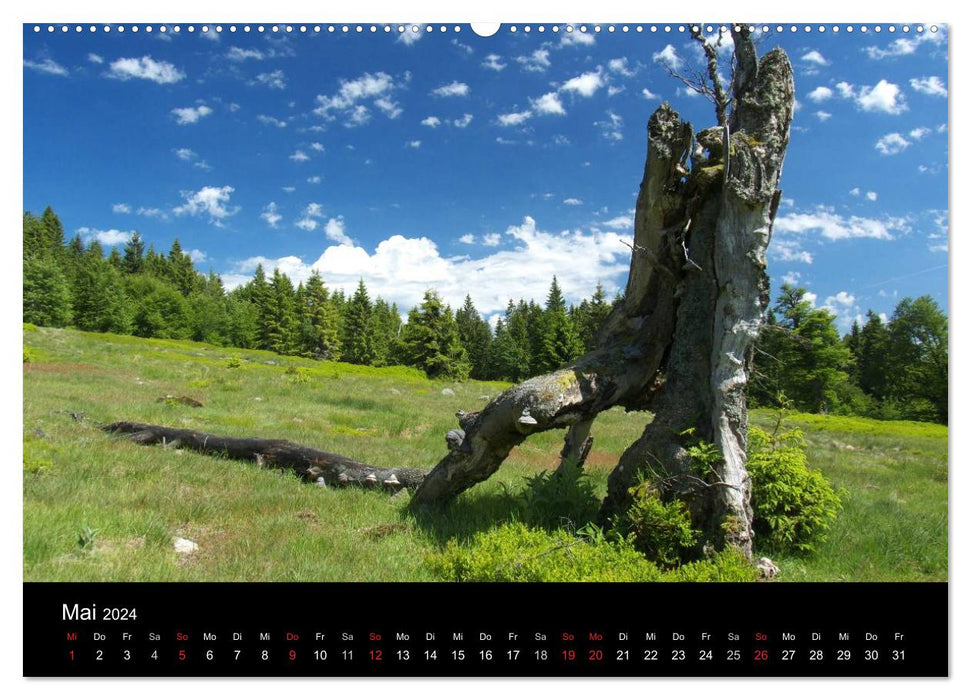 Bavarian Forest - the East of Bavaria (CALVENDO Premium Wall Calendar 2024) 