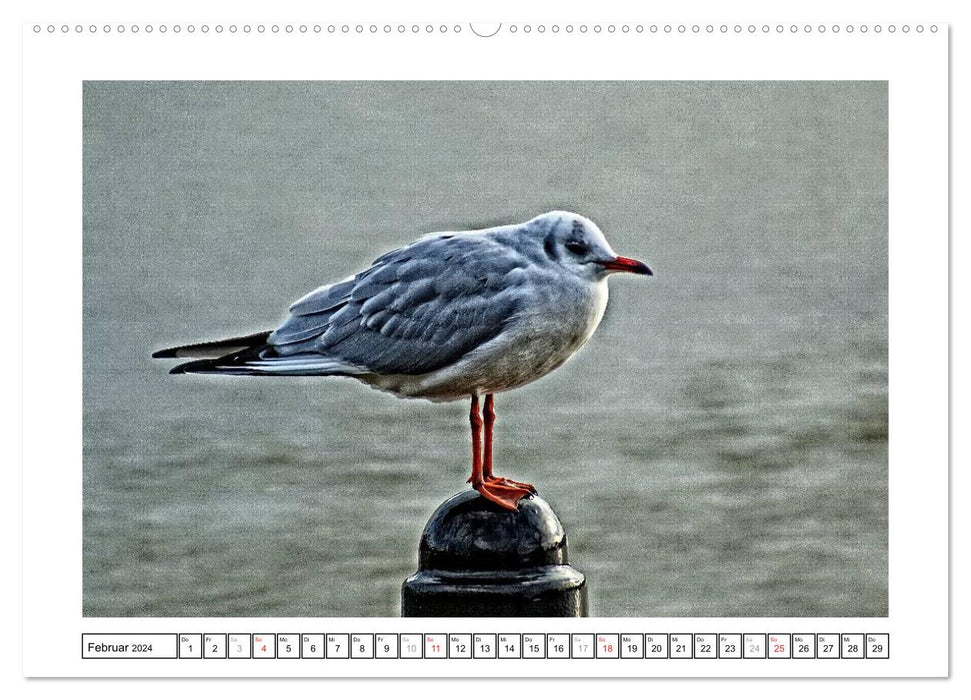 Ostfriesland HDR-Impressionen 2024 (CALVENDO Wandkalender 2024)