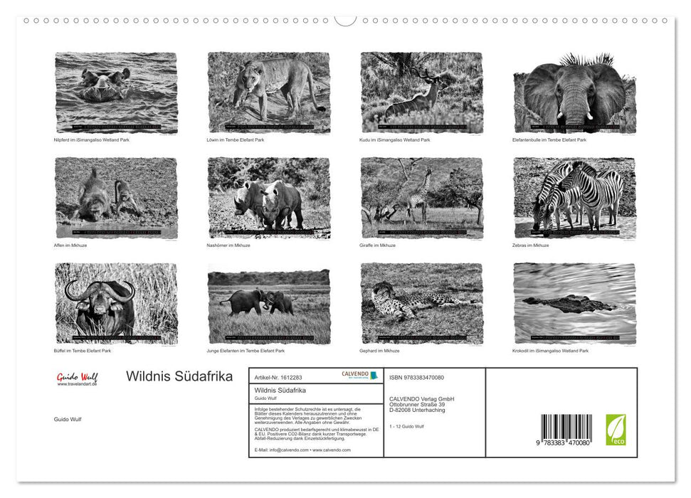 Wilderness South Africa (CALVENDO Premium Wall Calendar 2024) 