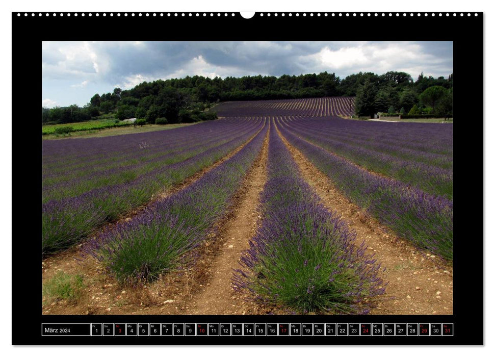 Romantic wanderlust - Provence (CALVENDO wall calendar 2024) 