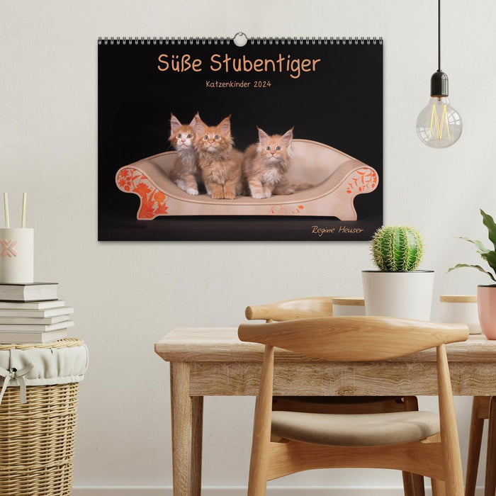 Cute house tigers - kittens (CALVENDO wall calendar 2024) 