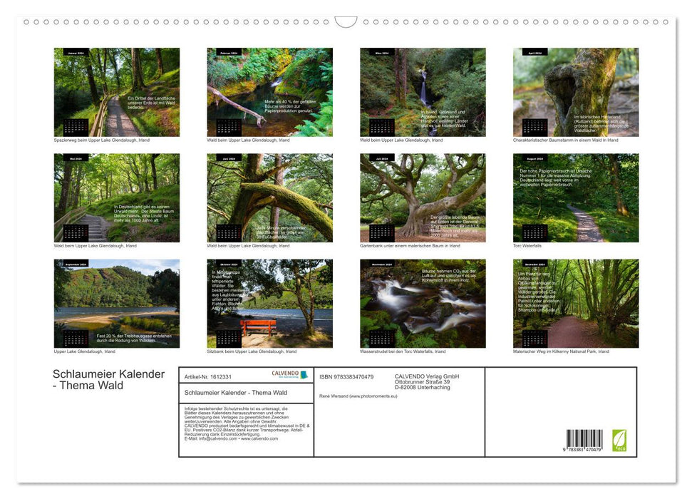 Schlaumeier-Kalender - Thema: Wald (CALVENDO Wandkalender 2024)