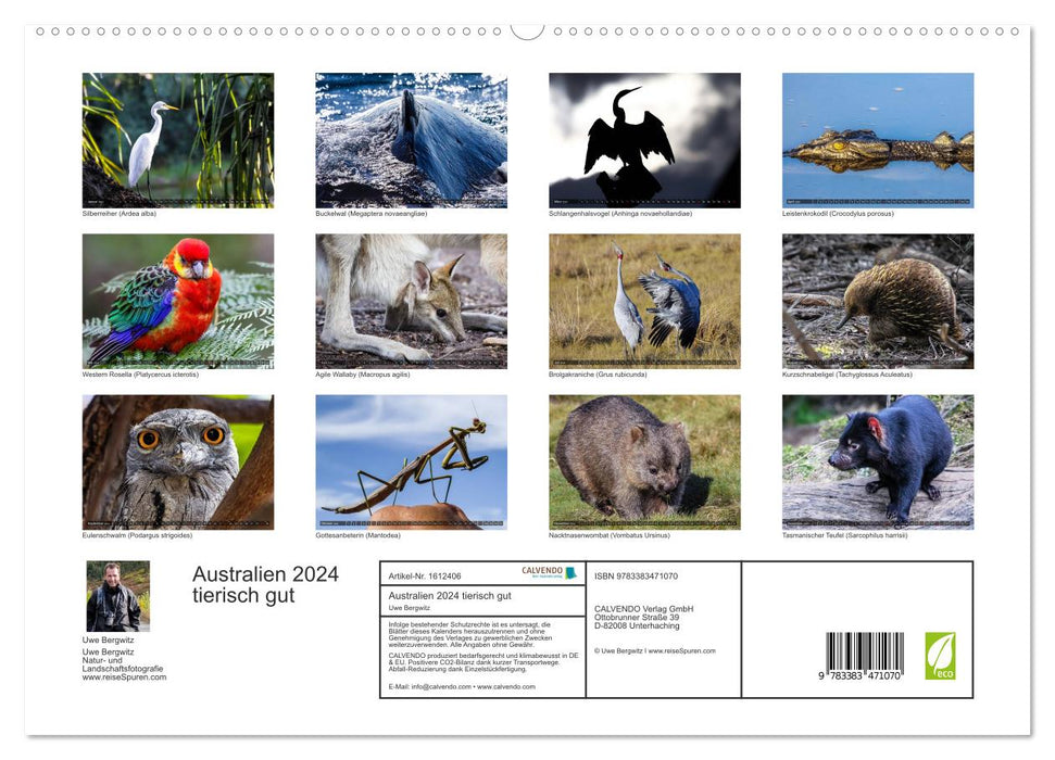 Australia animal good 2024 (CALVENDO Premium Wall Calendar 2024) 