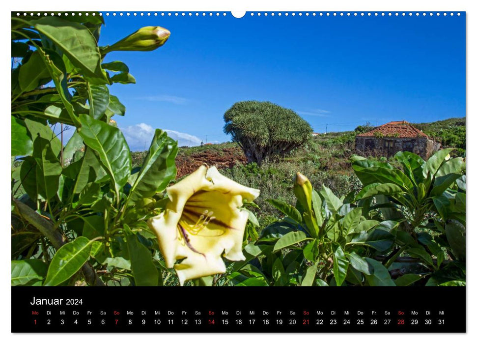 La Palma - die grüne Insel (CALVENDO Premium Wandkalender 2024)