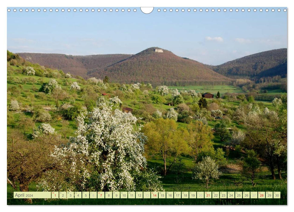 Pfullingen ... and the surrounding area (CALVENDO wall calendar 2024) 