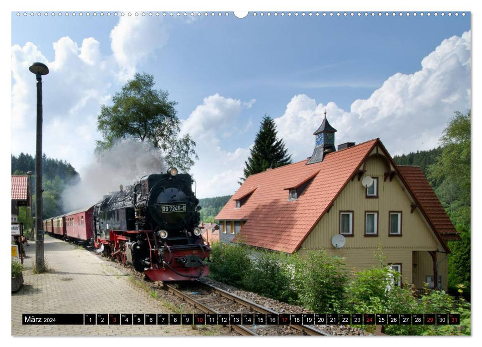 Narrow-gauge railways in Saxony Anhalt (CALVENDO Premium Wall Calendar 2024) 
