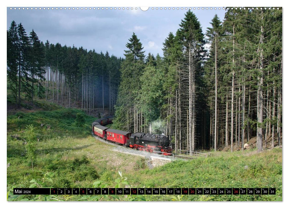 Schmalspurbahnen in Sachsen Anhalt (CALVENDO Premium Wandkalender 2024)