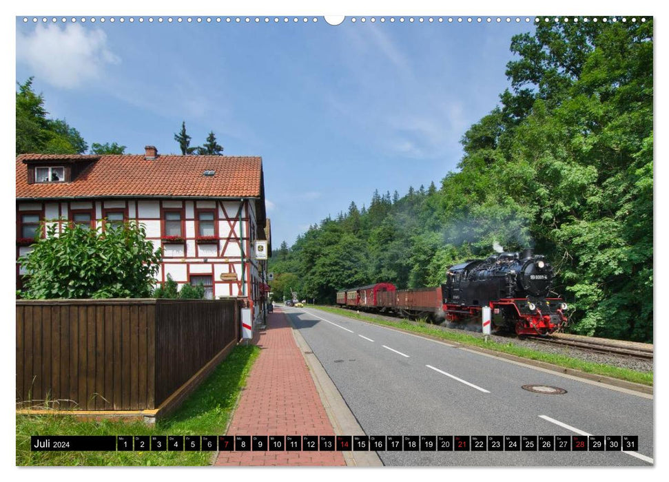 Narrow-gauge railways in Saxony Anhalt (CALVENDO Premium Wall Calendar 2024) 
