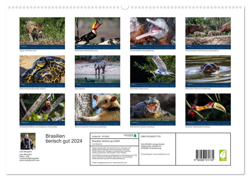 Brazil animal good 2024 (CALVENDO Premium Wall Calendar 2024) 