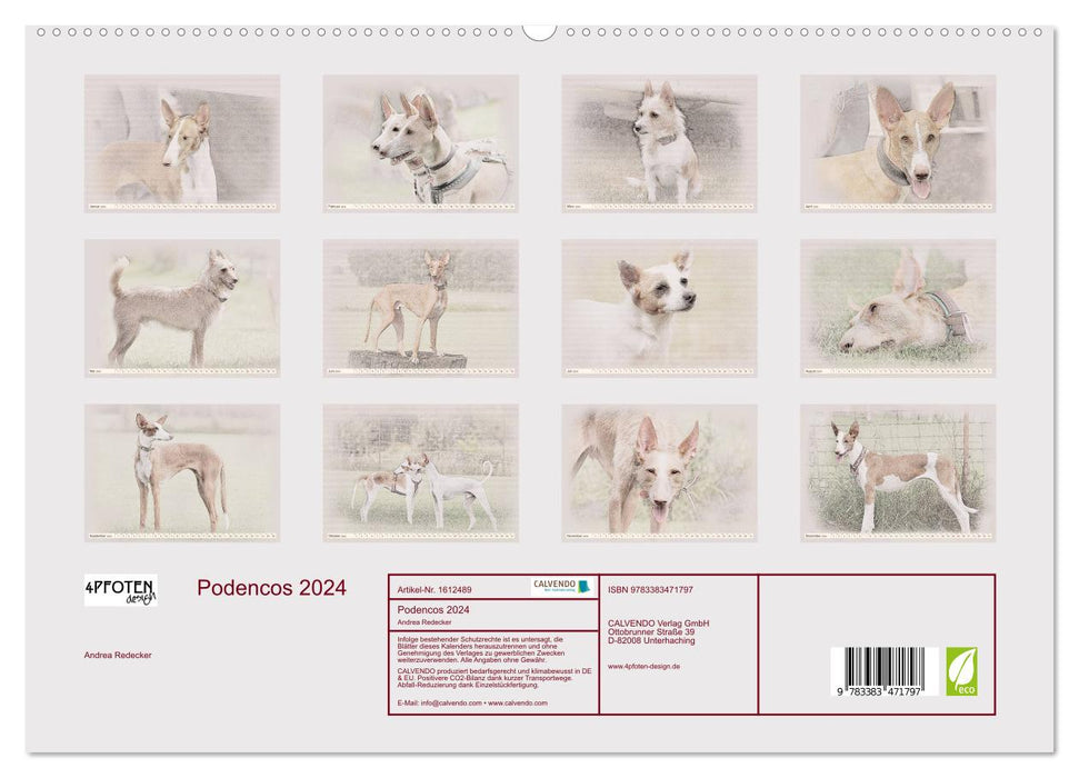 Podencos 2024 (CALVENDO Premium Wandkalender 2024)