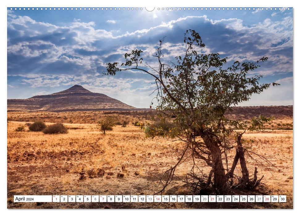Namibia - colors and light (CALVENDO wall calendar 2024) 