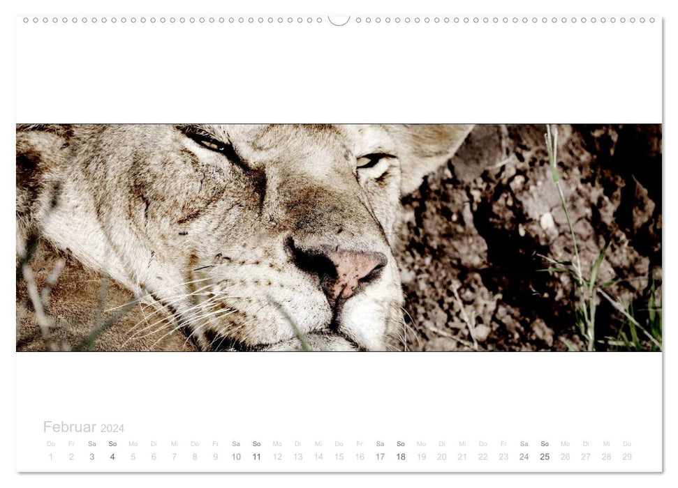 Serengeti Panorama (CALVENDO Premium Wall Calendar 2024) 