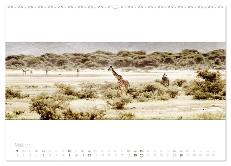 Serengeti Panorama (CALVENDO Premium Wandkalender 2024)