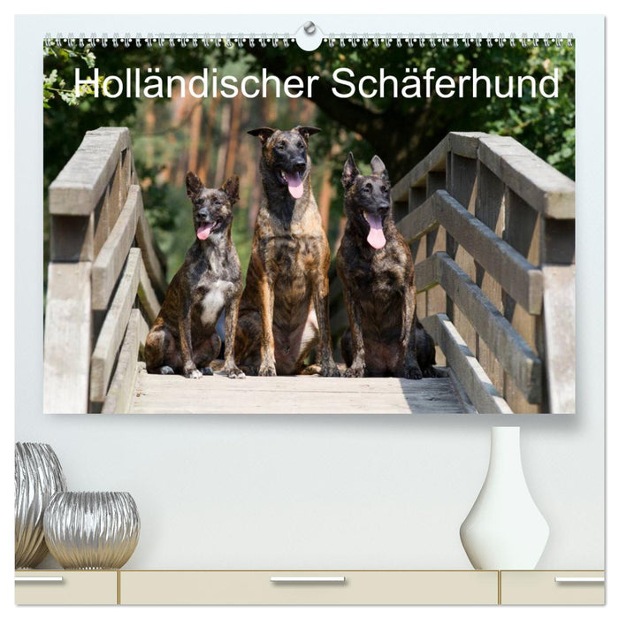 Dutch Shepherd Dog (CALVENDO Premium Wall Calendar 2024) 