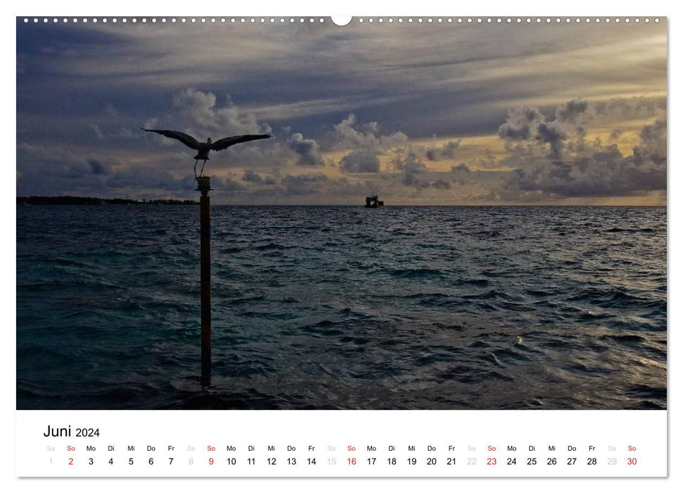 Island Dreams 2024 (CALVENDO Premium Wall Calendar 2024) 