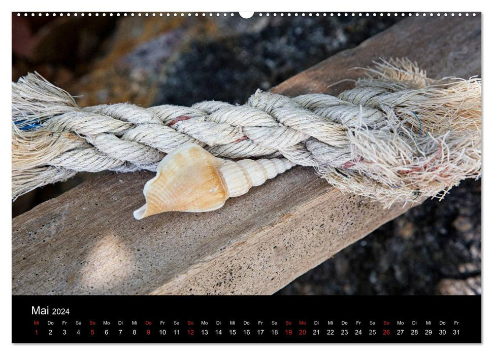 Flotsam and Sea 2024 (CALVENDO Premium Wall Calendar 2024) 