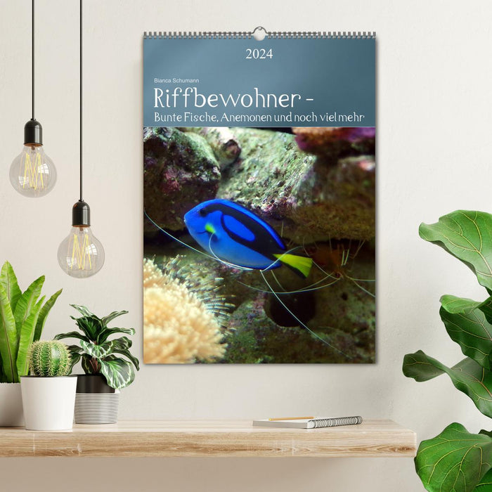 Riffbewohner - Bunte Fische, Anemonen und noch viel mehr (CALVENDO Wandkalender 2024)