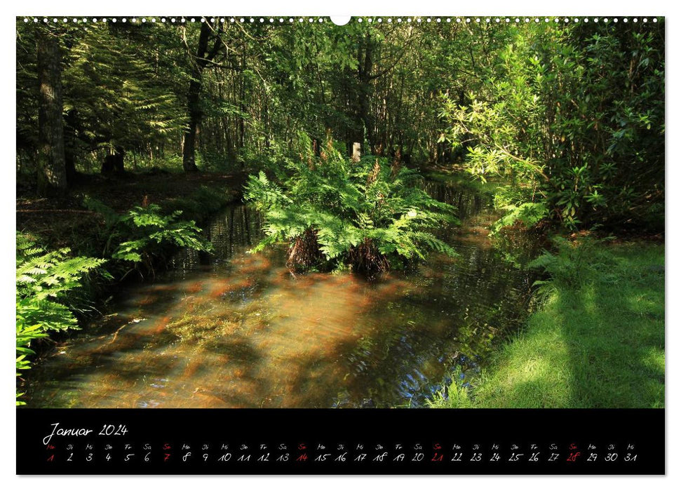 Brocéliande / Enchanted Forest of Brittany (CALVENDO Premium Wall Calendar 2024) 