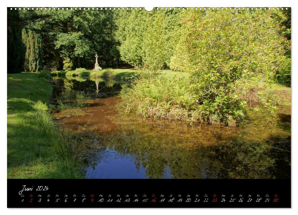 Brocéliande / Enchanted Forest of Brittany (CALVENDO Premium Wall Calendar 2024) 