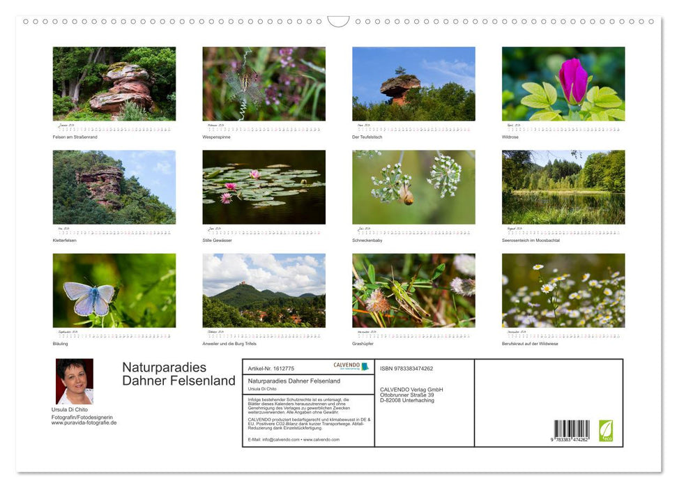 Natural paradise Dahner Felsenland (CALVENDO wall calendar 2024) 