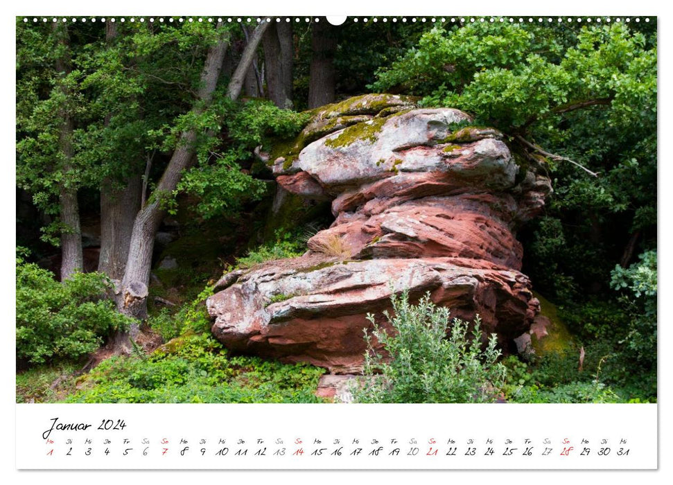 Naturparadies Dahner Felsenland (CALVENDO Wandkalender 2024)