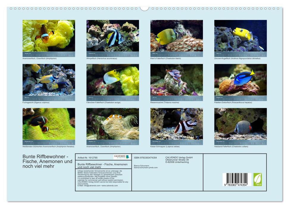 Colorful reef inhabitants - fish, anemones and much more (CALVENDO Premium Wall Calendar 2024) 