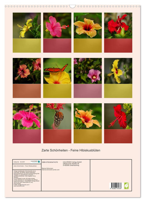 Zarte Schönheiten - Feine Hibiskusblüten (CALVENDO Wandkalender 2024)