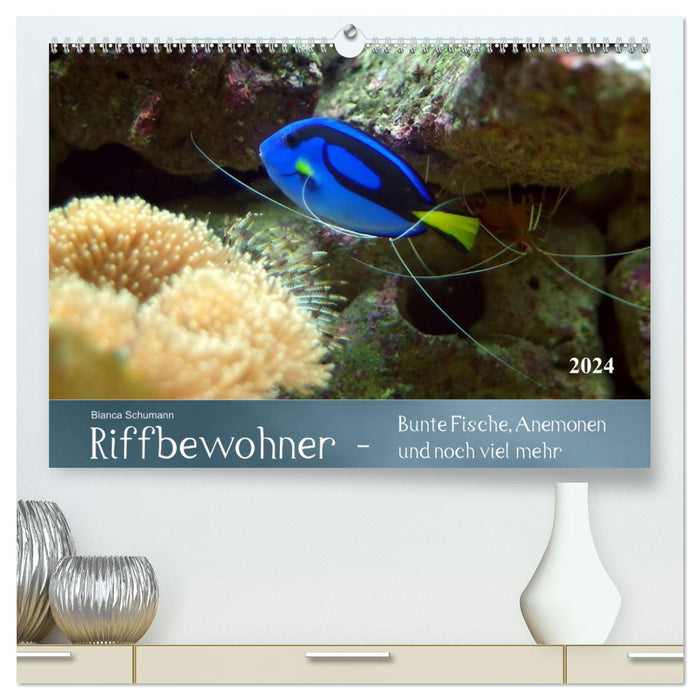 Reef inhabitants - colorful fish, anemones and much more (CALVENDO Premium Wall Calendar 2024) 