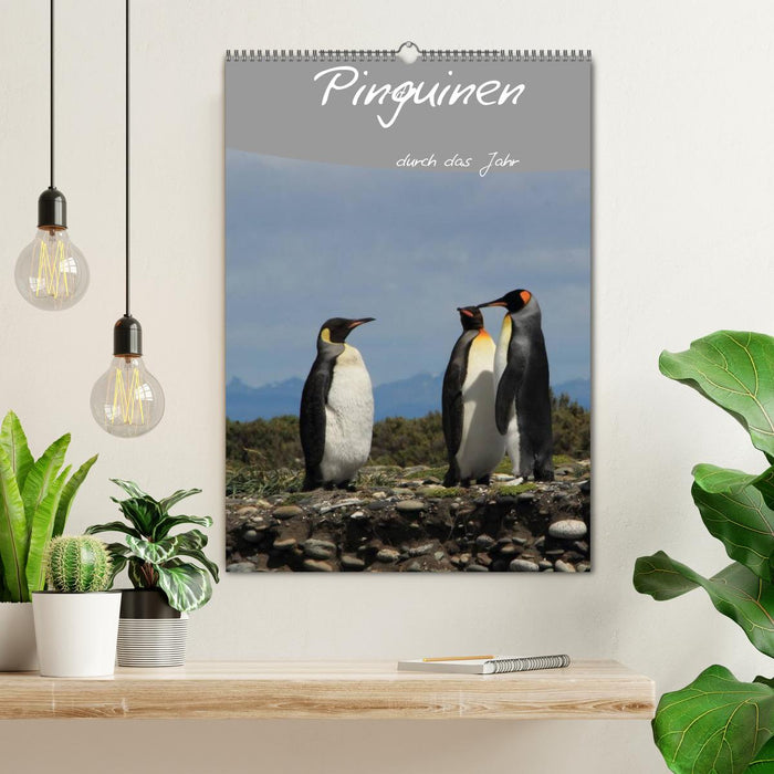 Mit Pinguinen durch das Jahr (CALVENDO Wandkalender 2024)