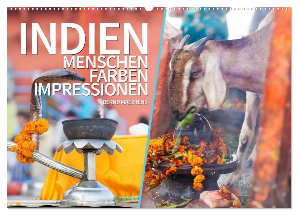 INDIEN Menschen Farben Impressionen (CALVENDO Wandkalender 2024)