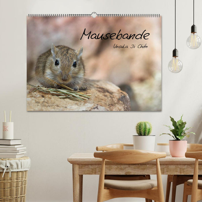 Mouse gang (CALVENDO wall calendar 2024) 