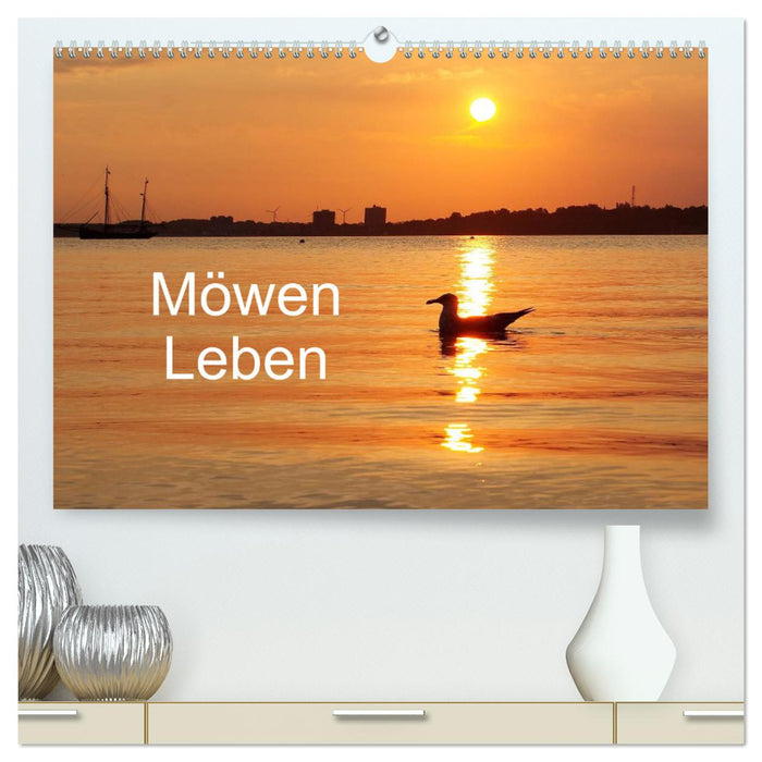 Möwen Leben (CALVENDO Premium Wandkalender 2024)
