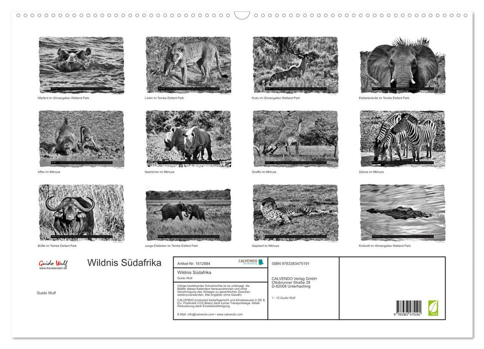 Wildnis Südafrika (CALVENDO Wandkalender 2024)