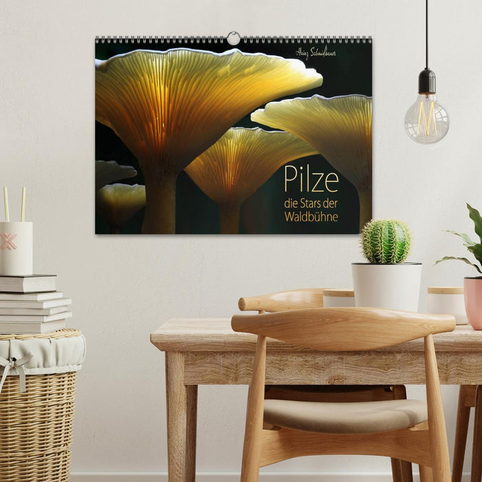 Pilze - die Stars der Waldbühne (CALVENDO Wandkalender 2024)
