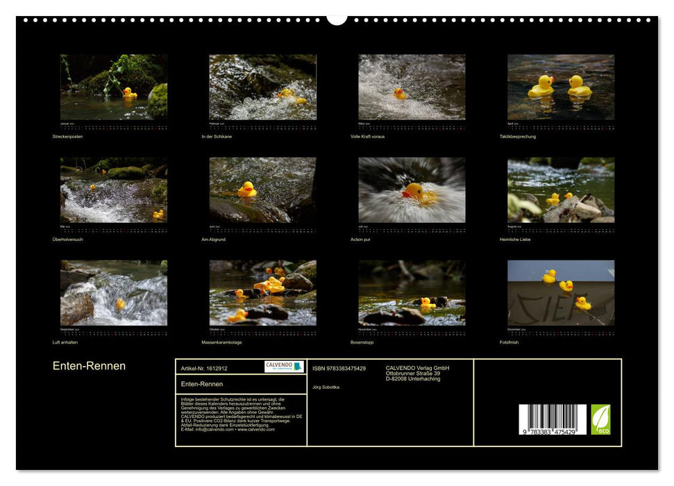 Course de canards (Calvendo Premium Wall Calendar 2024) 