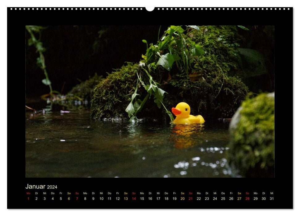 Duck Race (CALVENDO Premium Wall Calendar 2024) 