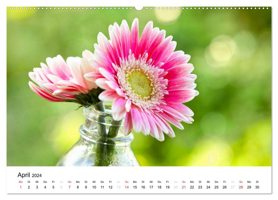My year in the country house garden (CALVENDO Premium wall calendar 2024) 