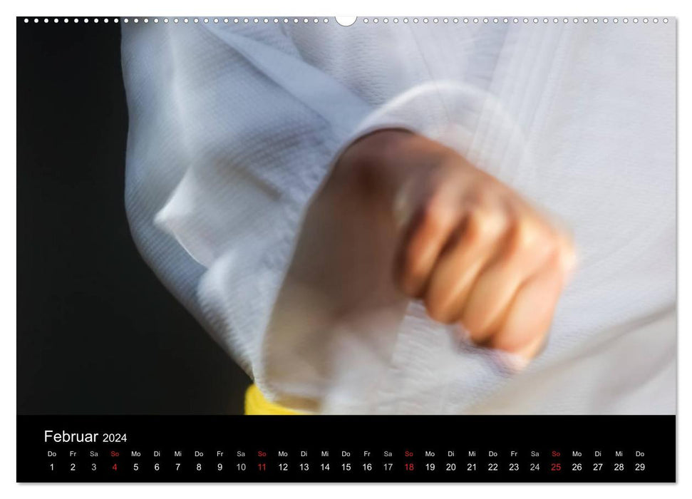 Martial arts (CALVENDO Premium wall calendar 2024) 