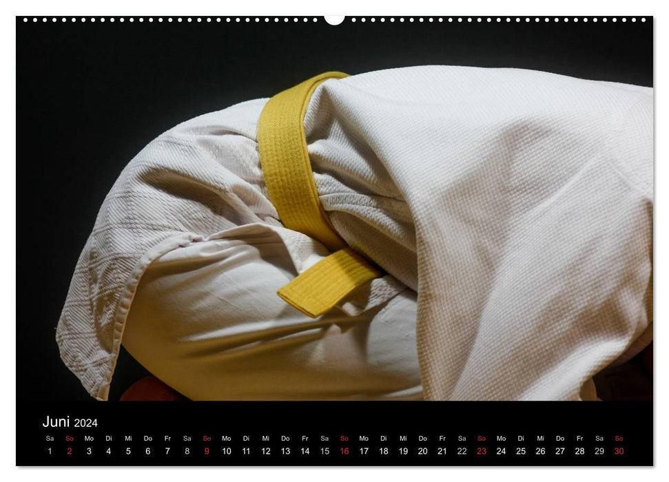 Martial arts (CALVENDO Premium wall calendar 2024) 