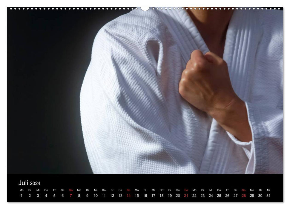 Martial arts (CALVENDO Premium wall calendar 2024) 
