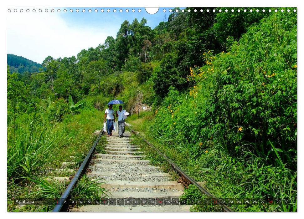 Sri Lanka - Un voyage en images (Calendrier mural CALVENDO 2024) 