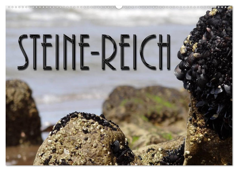 Steine-Reich (CALVENDO Wandkalender 2024)