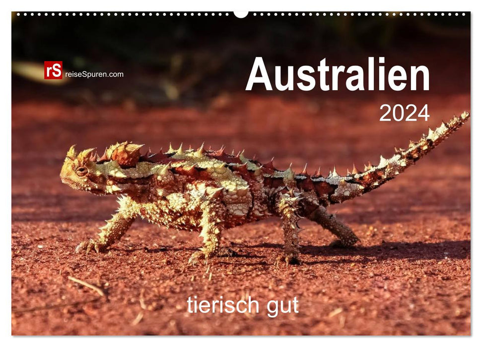 Australia animal good 2024 (CALVENDO wall calendar 2024) 