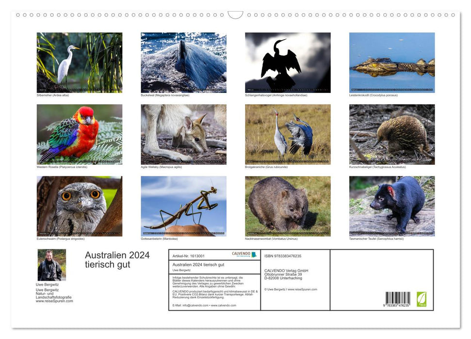 Australie animal good 2024 (calendrier mural CALVENDO 2024) 