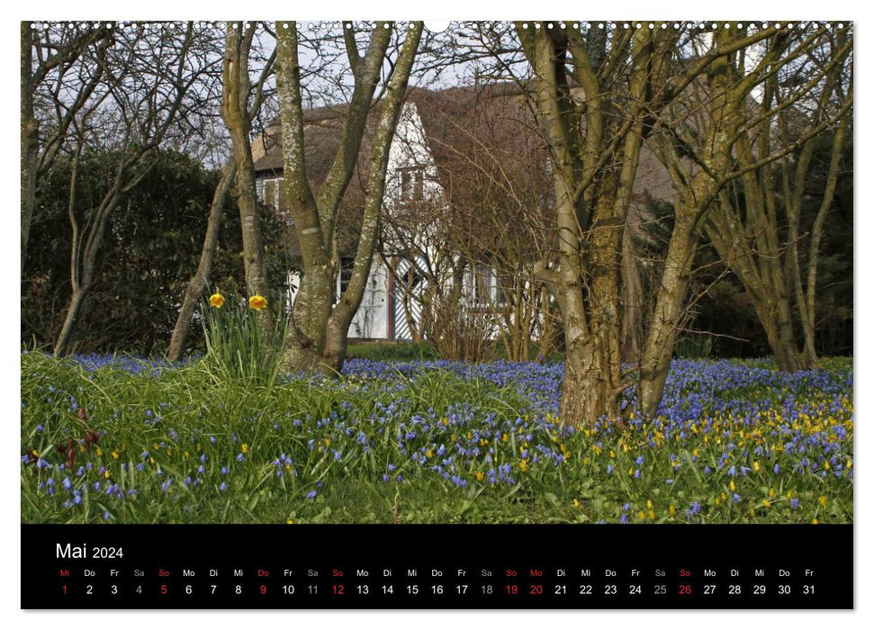 Beauté pittoresque (Calendrier mural CALVENDO 2024) 